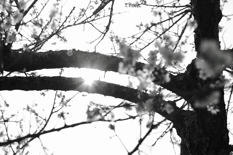 http://i.dcview.tw/gallery/201401/d90399aaa1d56960ac7ac954655bfa3c.jpg