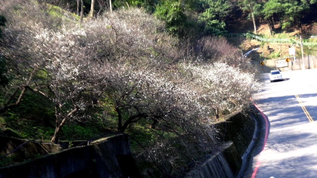 http://i.dcview.tw/gallery/201401/d95e690bf2e3521b0d39b9d1dc093bf7.jpg