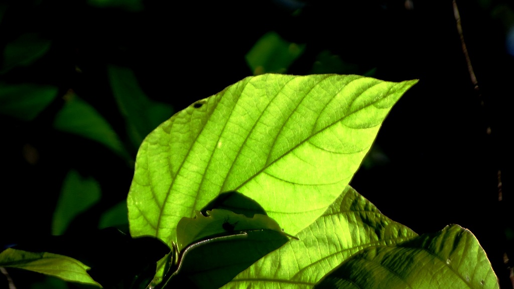 http://i.dcview.tw/gallery/201401/e64482ff5be6273e4b9c4250159ae1d8.jpg