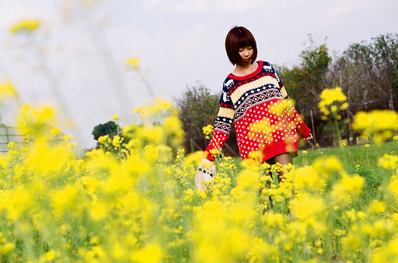 http://i.dcview.tw/gallery/201401/e7db71e680374d84b5adea322478635a.jpg