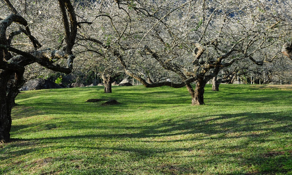 http://i.dcview.tw/gallery/201401/eedb6c1b5c4417aebe8abe9b44d011e2.jpg