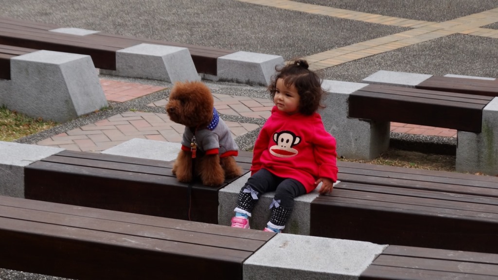 http://i.dcview.tw/gallery/201401/fbc280c67673fbc59b80c89b92c12e3e.jpg