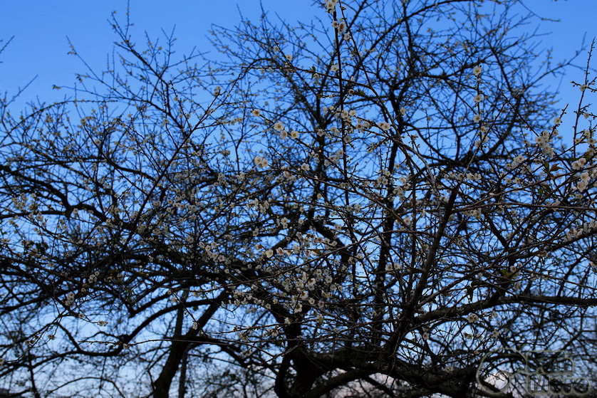 http://i.dcview.tw/gallery/201401/fe60c08af98872561a2f1d518506ac18.jpg