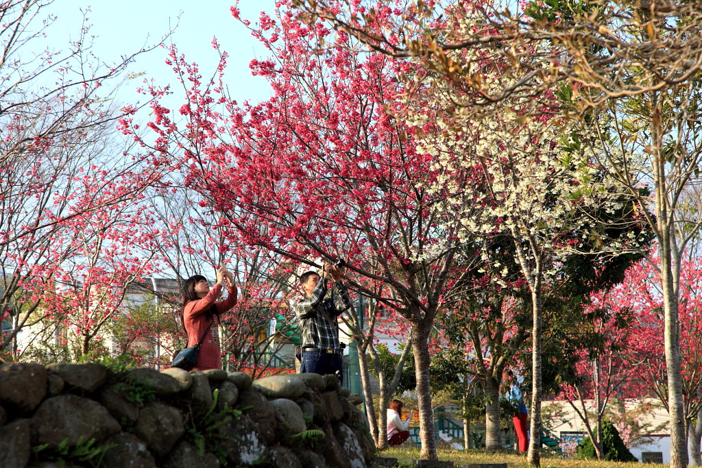 http://i.dcview.tw/gallery/201402/034ec48402b99f5c9426f2fc32b1dee5.jpg