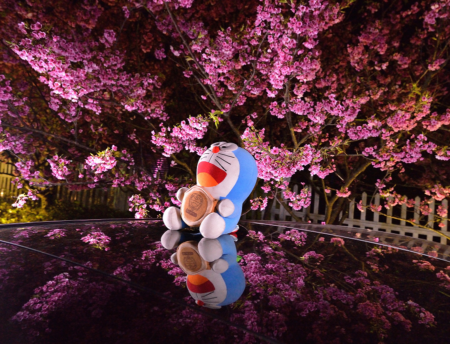 http://i.dcview.tw/gallery/201402/048c743105a33a63e20d3d590b263dc7.jpg