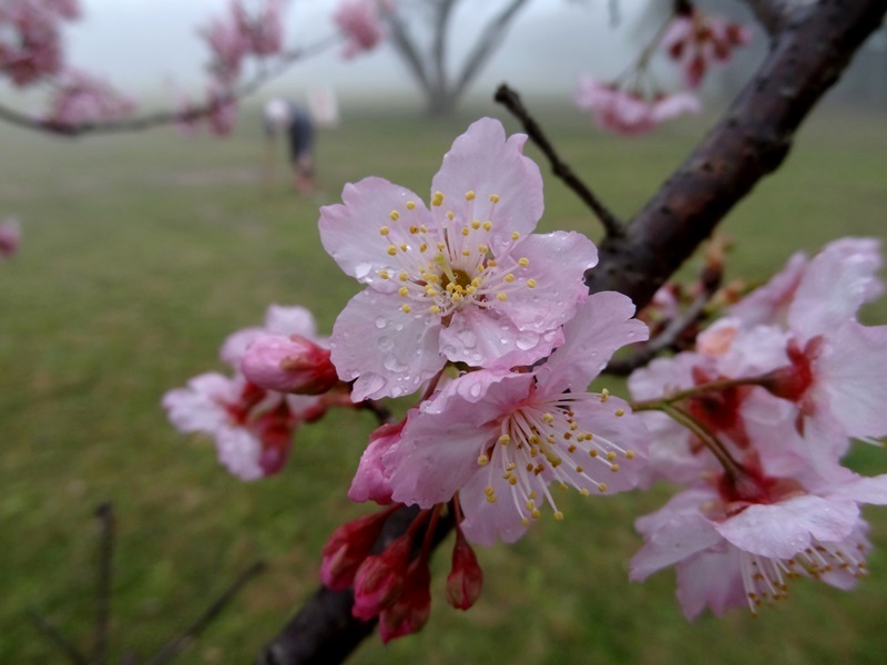http://i.dcview.tw/gallery/201402/08ff922a7c19a77ffbb1243f56f415ac.jpg