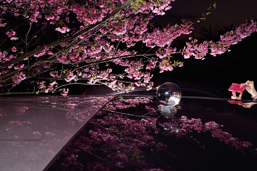 http://i.dcview.tw/gallery/201402/0f010f70e9fbd8752ccbda06515f3aa6.jpg