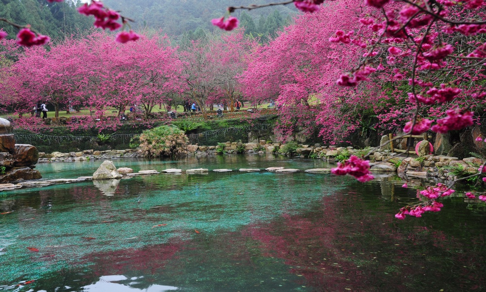 http://i.dcview.tw/gallery/201402/0fa09d0b53ef90c04d43fb458ada58ab.jpg