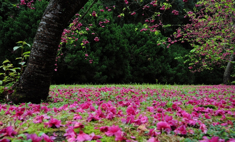 http://i.dcview.tw/gallery/201402/13840e3ac8ff42eeda45bd0414c3fc1e.jpg