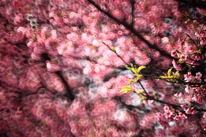 http://i.dcview.tw/gallery/201402/149f9e6b45430e7e5a1aceec55386fb8.jpg