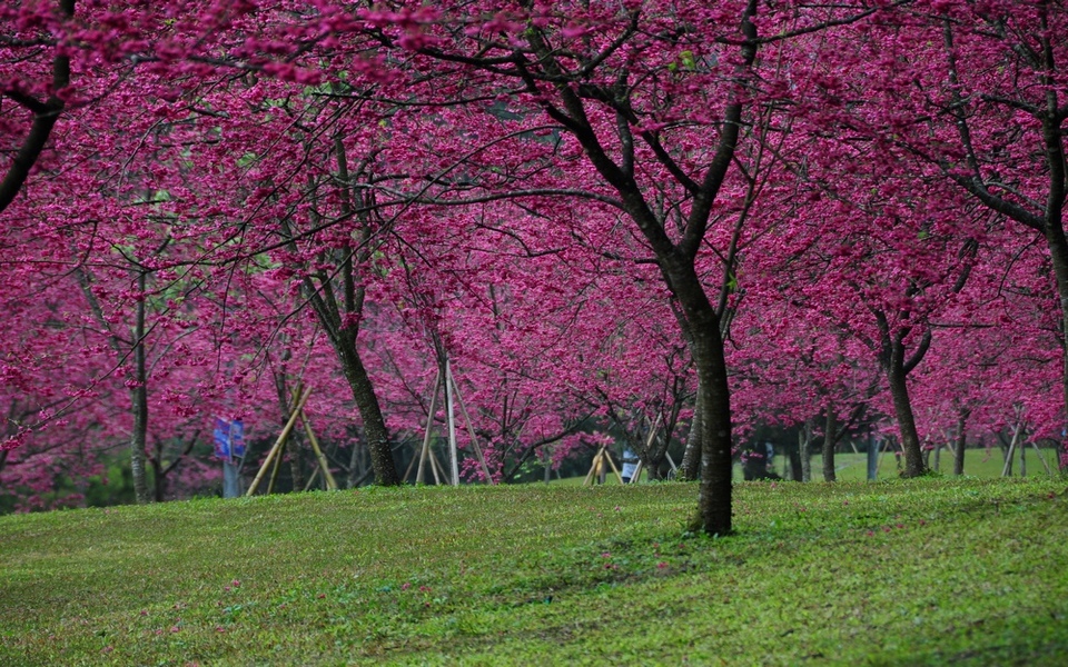 http://i.dcview.tw/gallery/201402/1733cf10757116973be75942cb54ff21.jpg