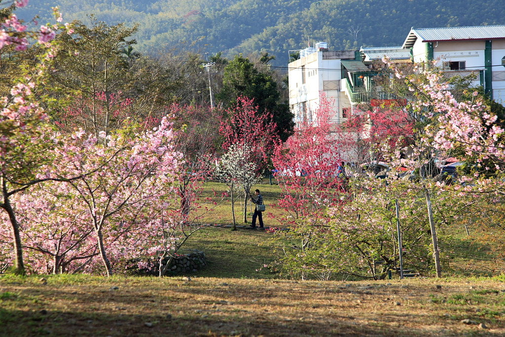 http://i.dcview.tw/gallery/201402/1ee5ebb531471528060ec60ad44d1e10.jpg