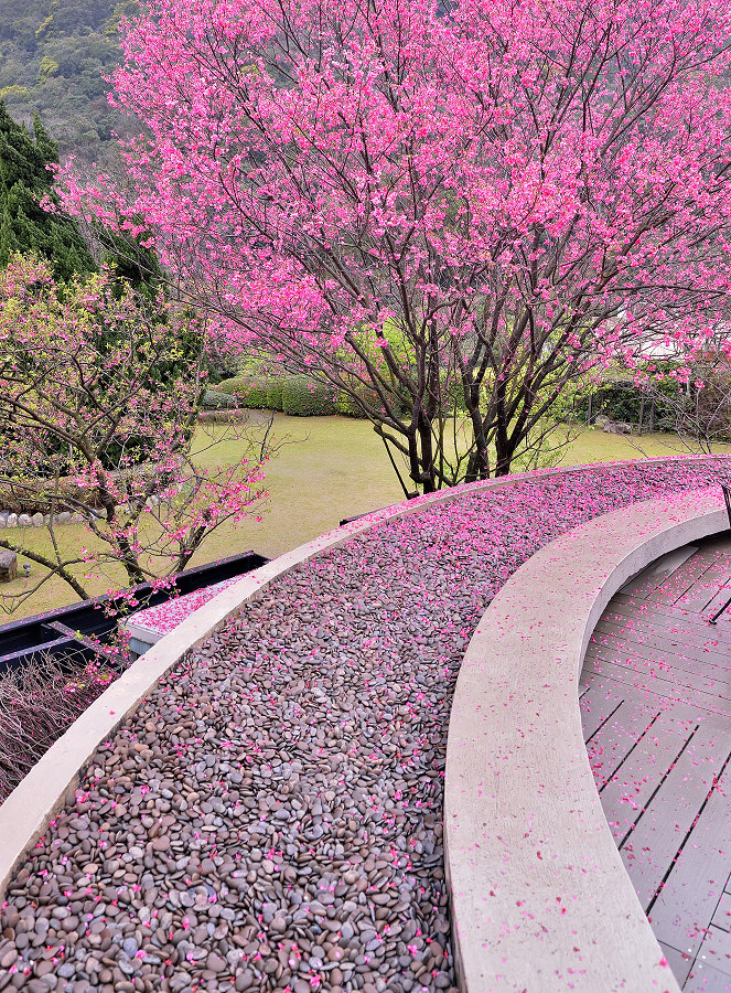 http://i.dcview.tw/gallery/201402/25ed1fc534cb49d2ae5c1492742a24b3.jpg