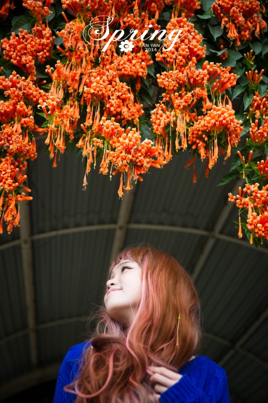 http://i.dcview.tw/gallery/201402/28c1e7c3060a95fb7e15e9abd58526a1.jpg