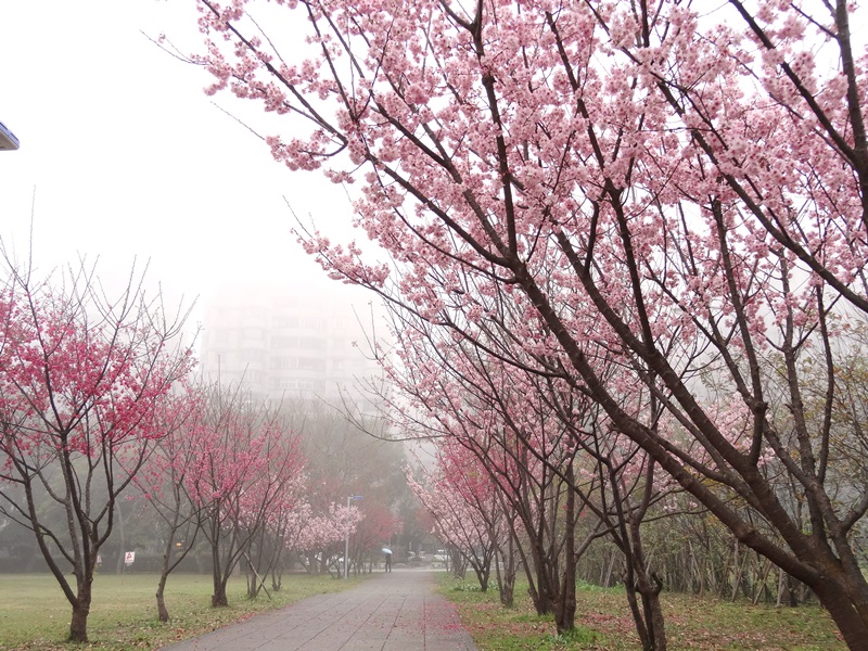 http://i.dcview.tw/gallery/201402/2944450f61b74c16fd6ce21f9cdcb6dc.jpg