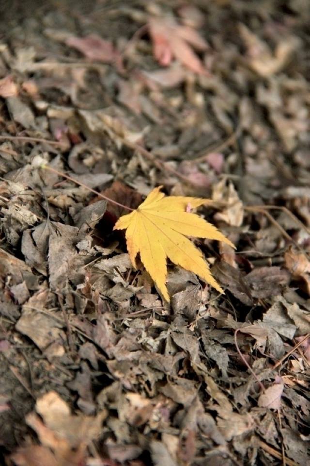 http://i.dcview.tw/gallery/201402/2999a85438de317464686351f17f6c47.jpg