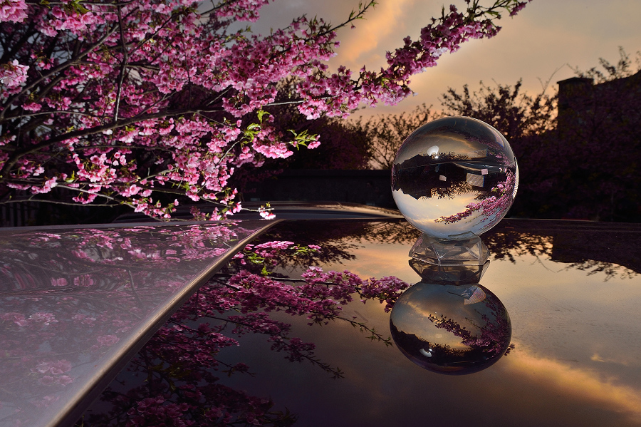 http://i.dcview.tw/gallery/201402/391fde9434b4e4c5c4661e9d63993acb.jpg