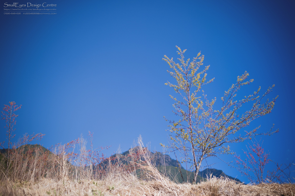 http://i.dcview.tw/gallery/201402/3dd46f0ed9a9468f0afc59773f8b41e9.jpg