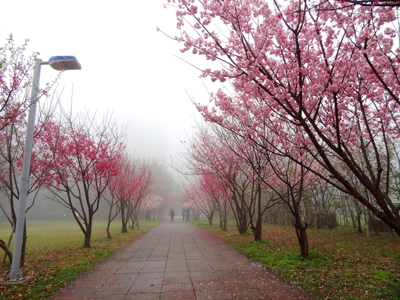 http://i.dcview.tw/gallery/201402/4135e4d653988b914fcc6e6d2dc1ba64.jpg