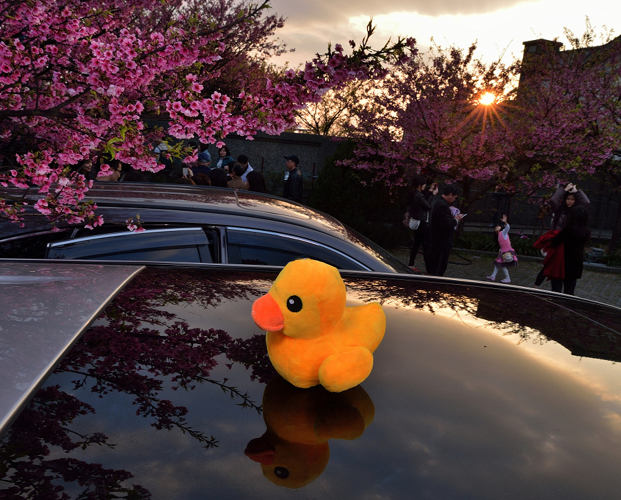 http://i.dcview.tw/gallery/201402/47ff0e162206f67d5dad5f19a84b7bb1.jpg