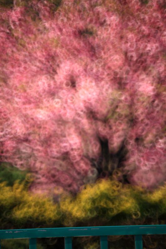 http://i.dcview.tw/gallery/201402/4b4e22a4f2c4ce682ca15a296180deb6.jpg