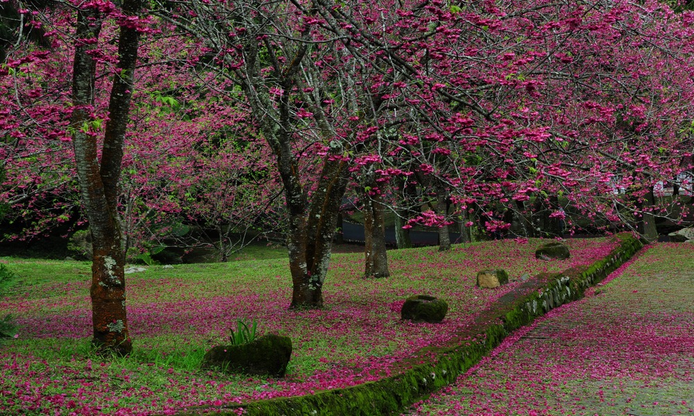 http://i.dcview.tw/gallery/201402/72b772dc43ead0fd46128ccda2731420.jpg
