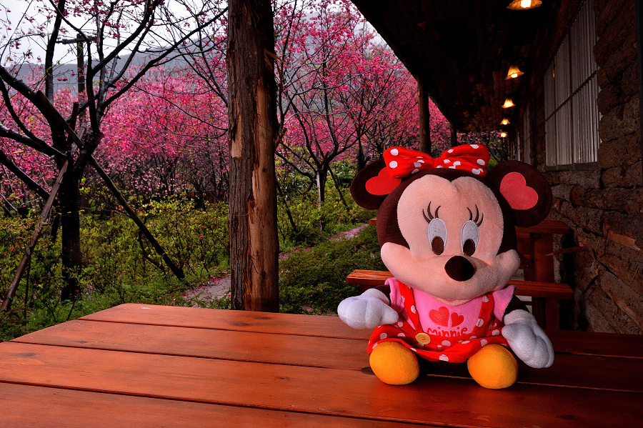 http://i.dcview.tw/gallery/201402/84319e2d66ef6fa9fd2bf5b836f03158.jpg
