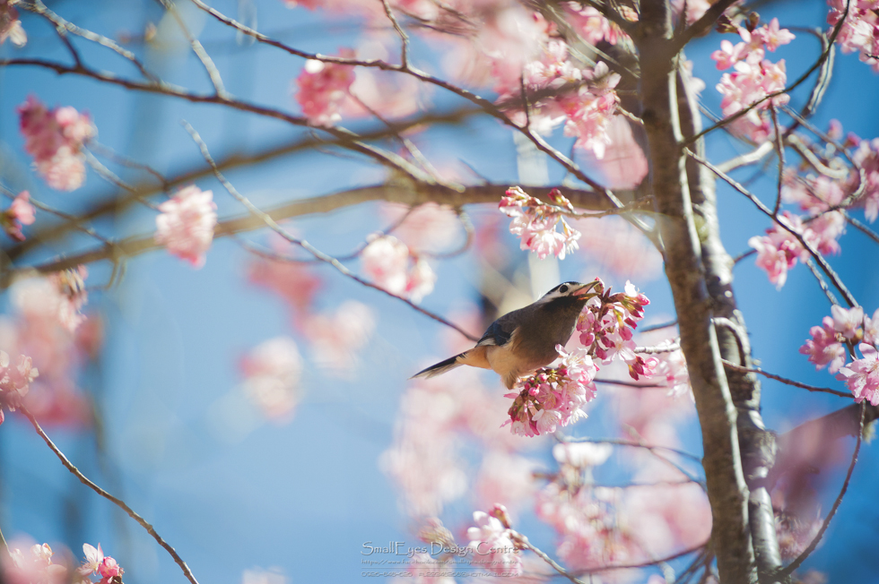 http://i.dcview.tw/gallery/201402/8515d14ed168f982134b8eb99cd95429.jpg