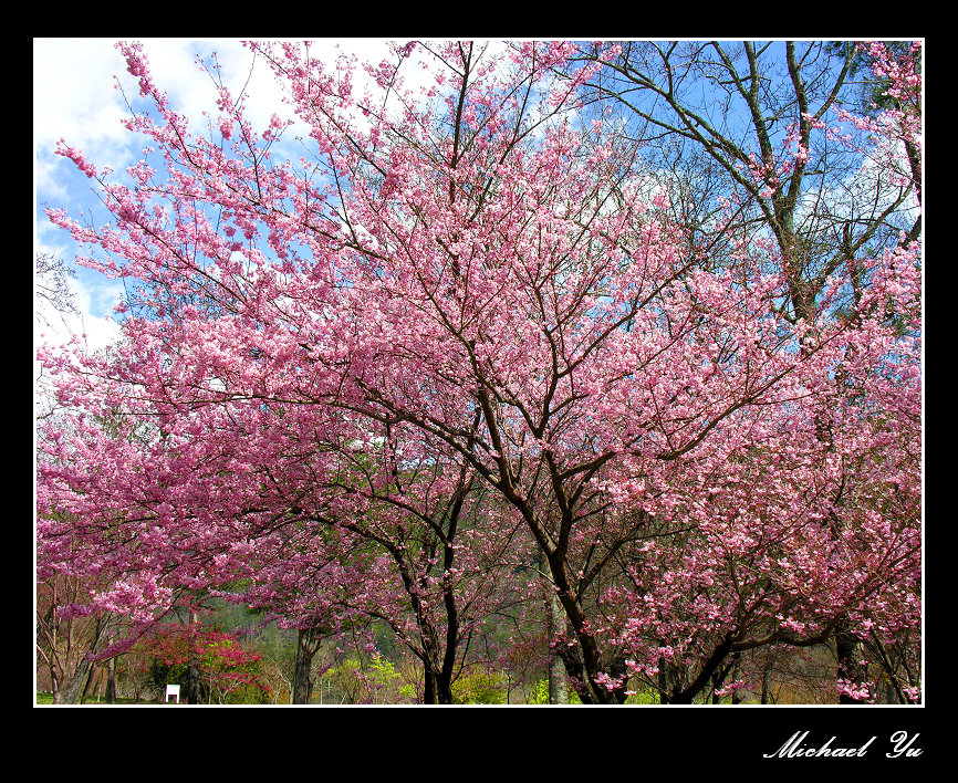 http://i.dcview.tw/gallery/201402/8c518f6c129593c290664a09b9efd3cc.jpg