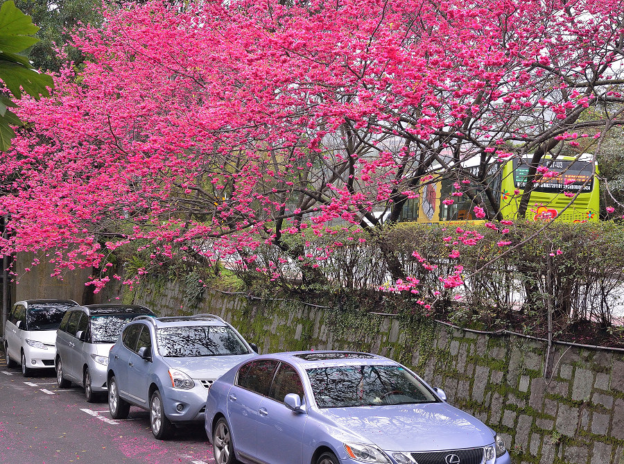 http://i.dcview.tw/gallery/201402/8d196adb1b48d96a6eca934caabc5a68.jpg