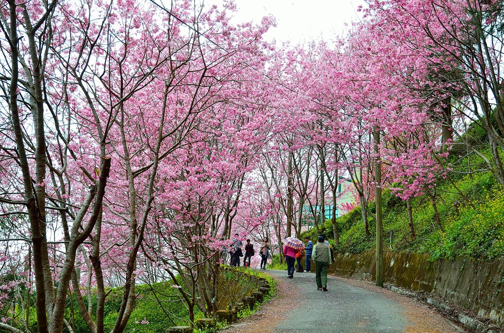 http://i.dcview.tw/gallery/201402/948476ac4ed3a7594f4f1435c8ea58e7.jpg