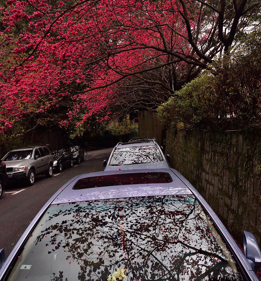 http://i.dcview.tw/gallery/201402/9af7ec0322fdff94fa958f5d99200cd4.jpg