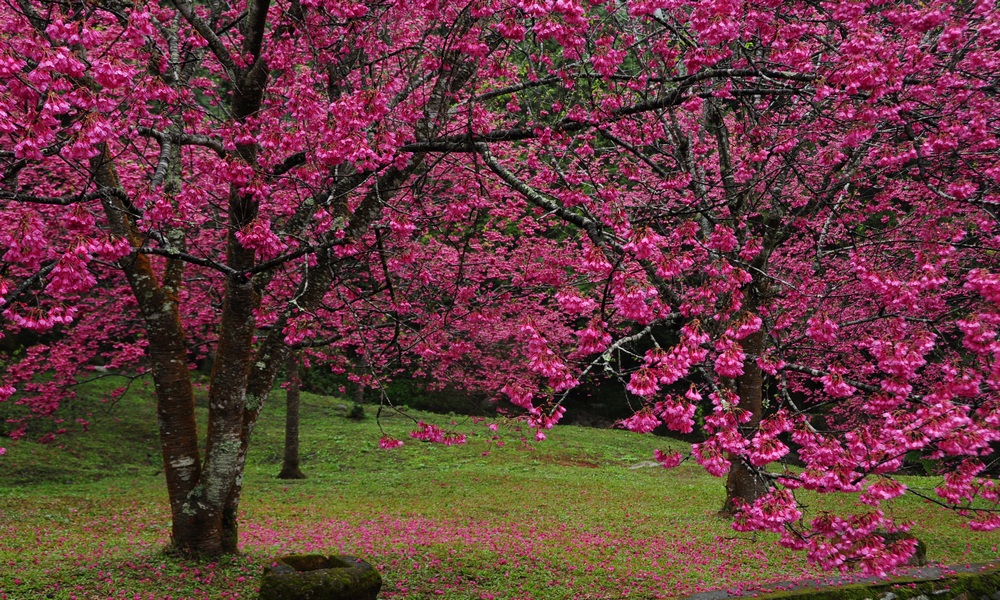 http://i.dcview.tw/gallery/201402/9d9682516588d11b46f8f2c4b51a577e.jpg