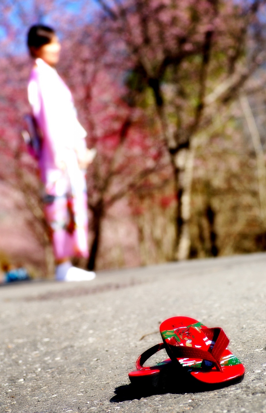 http://i.dcview.tw/gallery/201402/a189c8eb15a43493063c877c01915320.jpg