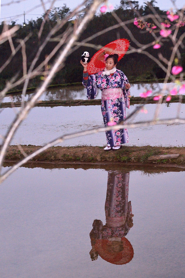 http://i.dcview.tw/gallery/201402/a6463495dede5c0dacd864137f0bb753.jpg