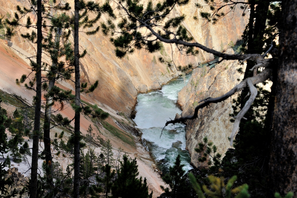 http://i.dcview.tw/gallery/201402/a6d318d58156265fb8d7332498e097cf.jpg