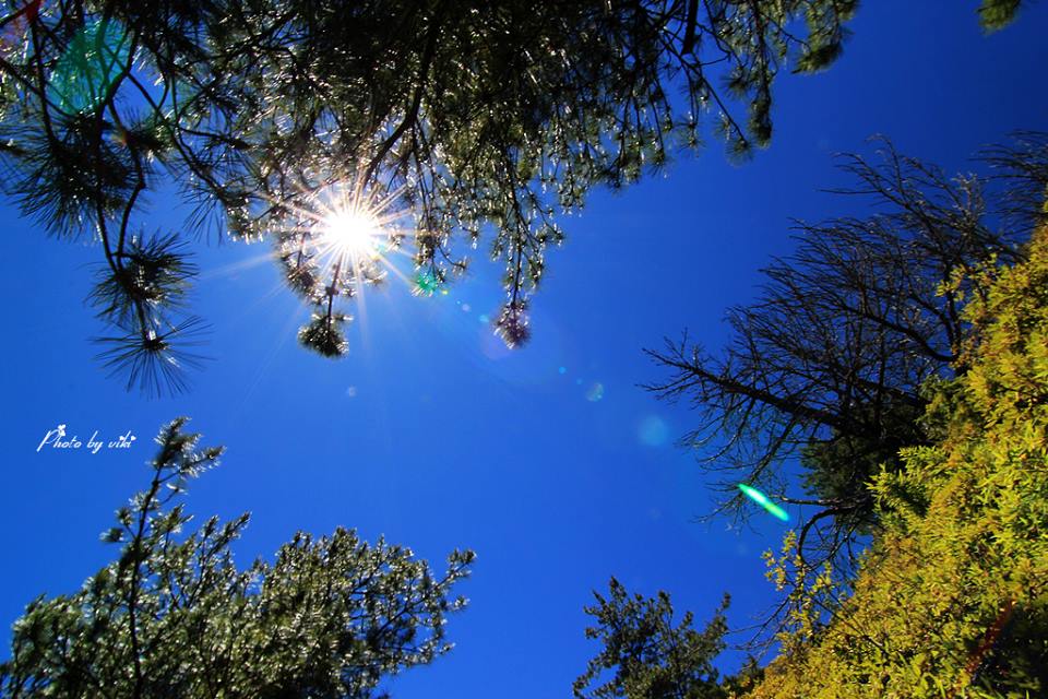 http://i.dcview.tw/gallery/201402/b0c872c70fbacf3855bd5199c91b57a2.jpg
