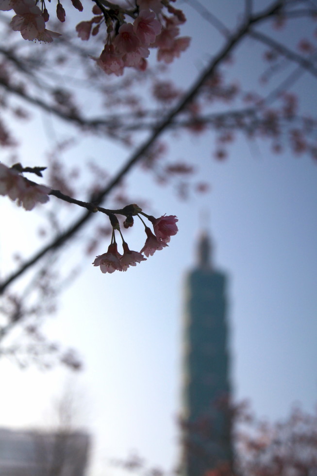 http://i.dcview.tw/gallery/201402/b7d734db08708a872858e3d57caa29b1.jpg