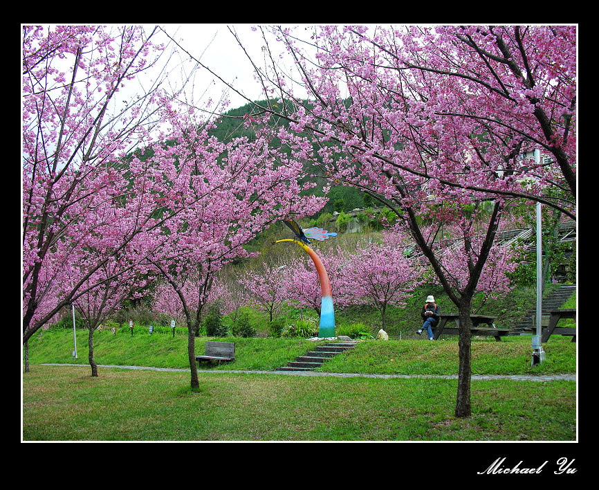 http://i.dcview.tw/gallery/201402/cbd46afa3c284900d5c6a7b20bb1f535.jpg