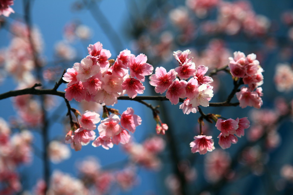 http://i.dcview.tw/gallery/201402/d37f0f473b9884330e60bef37a3744ee.jpg