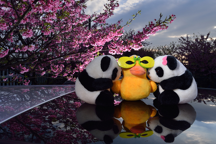 http://i.dcview.tw/gallery/201402/d4090f82024f220b770b87c4cafe2120.jpg