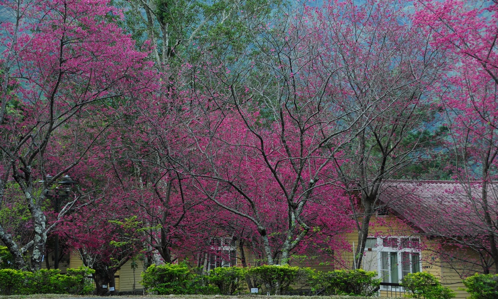 http://i.dcview.tw/gallery/201402/d8334c3bb10a27394eac29c791b4451b.jpg