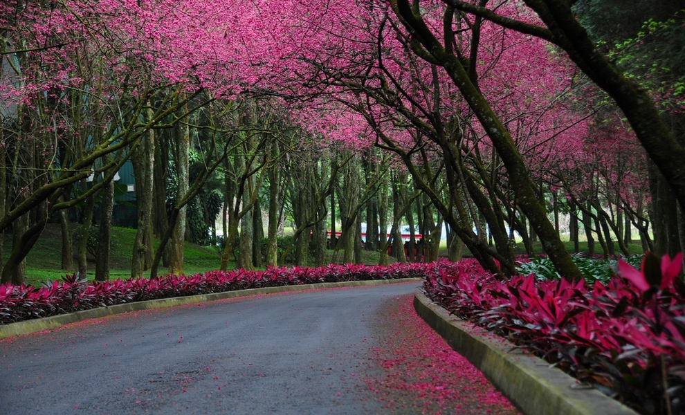 http://i.dcview.tw/gallery/201402/df11cebefb2a76cf7a5b68fe5a887f29.jpg