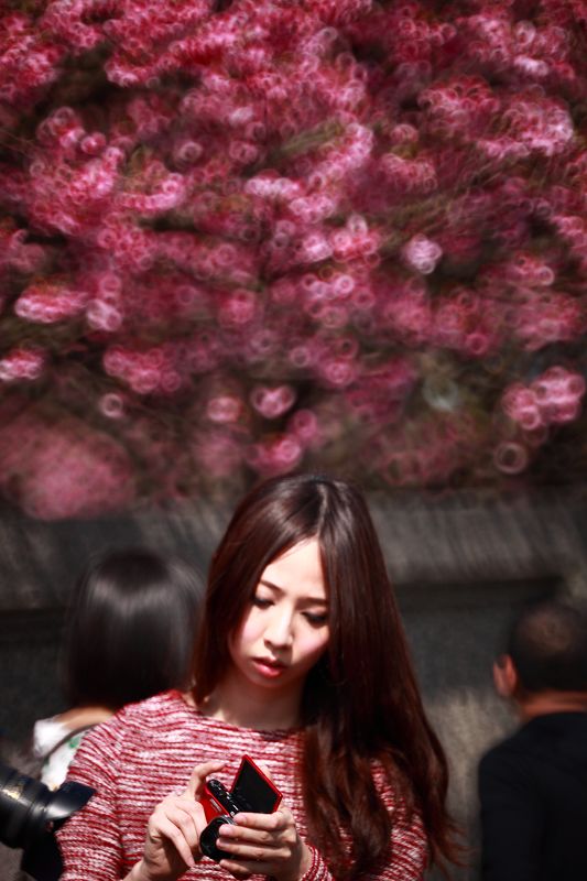 http://i.dcview.tw/gallery/201402/e42eea8e620045ab18ee19788547cd0c.jpg