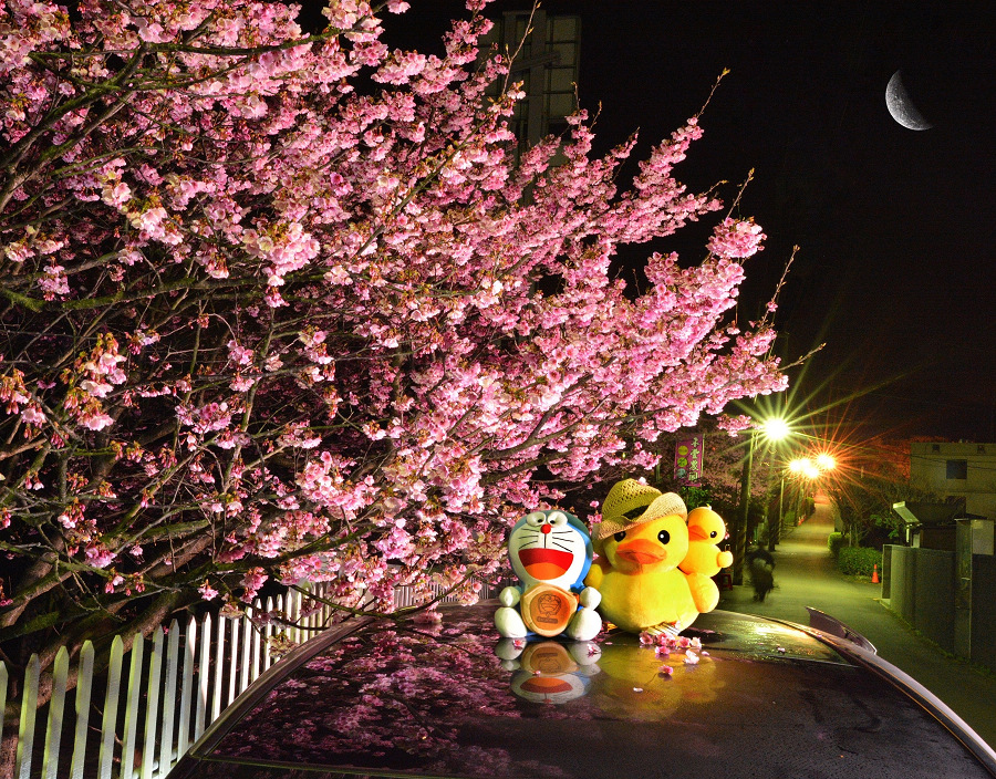 http://i.dcview.tw/gallery/201402/e7f447cfda3044a03840b677354bd0e3.jpg