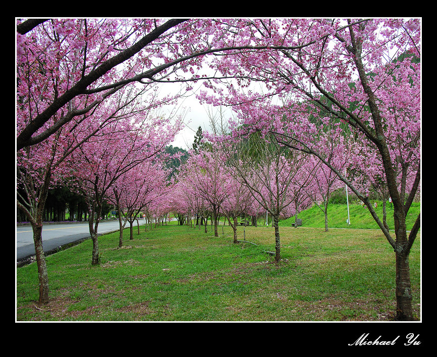 http://i.dcview.tw/gallery/201402/eaec32f691e0abe52d6ef22bdc812da6.jpg