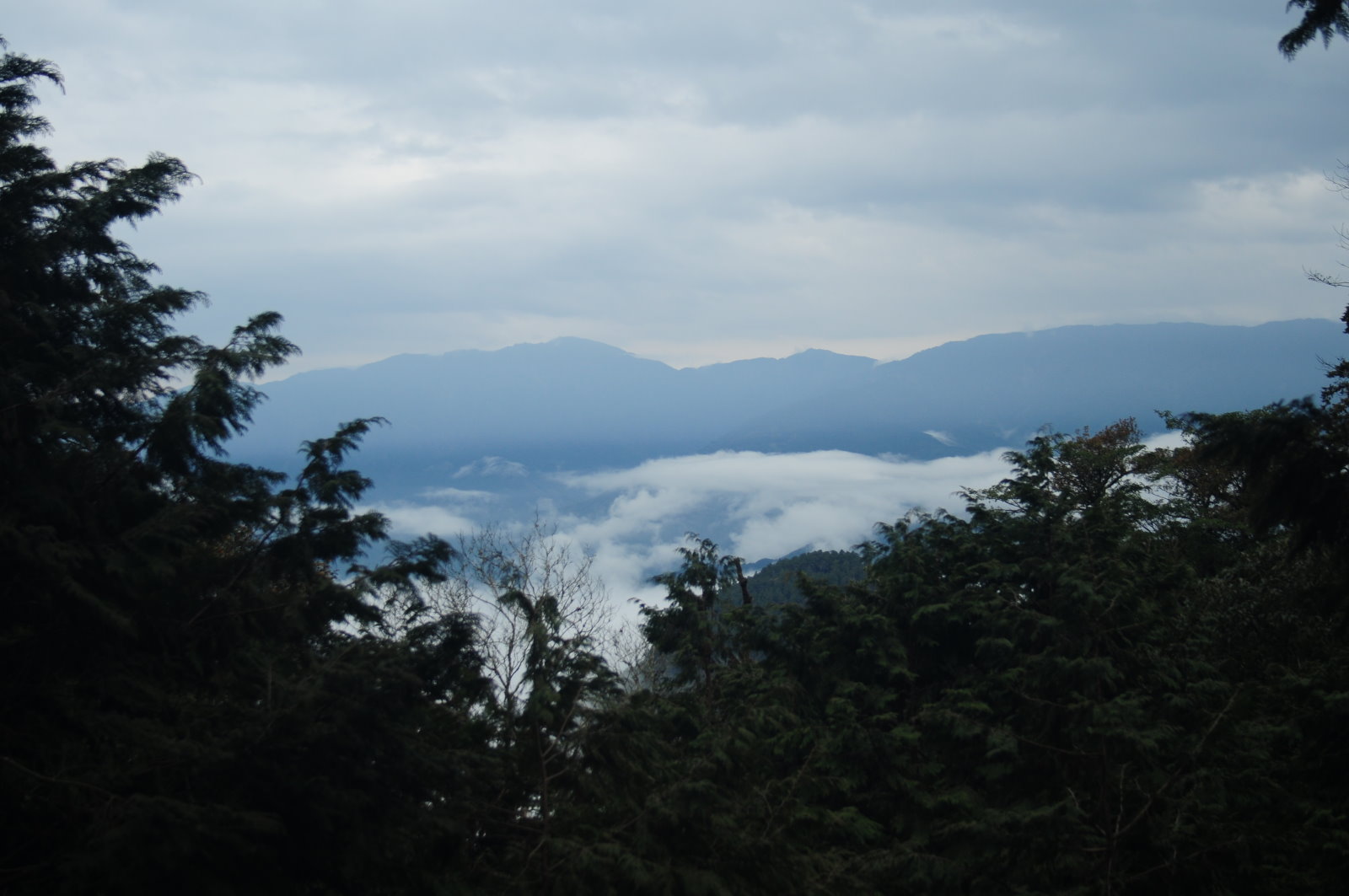 http://i.dcview.tw/gallery/201402/f99a516422786be2ef5a29747b41b10d.jpg