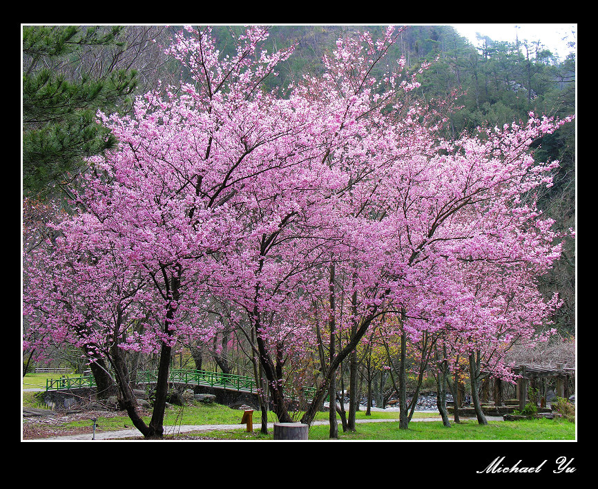 http://i.dcview.tw/gallery/201402/f9c800828bdac3a8d5fe3b7af3fd09de.jpg