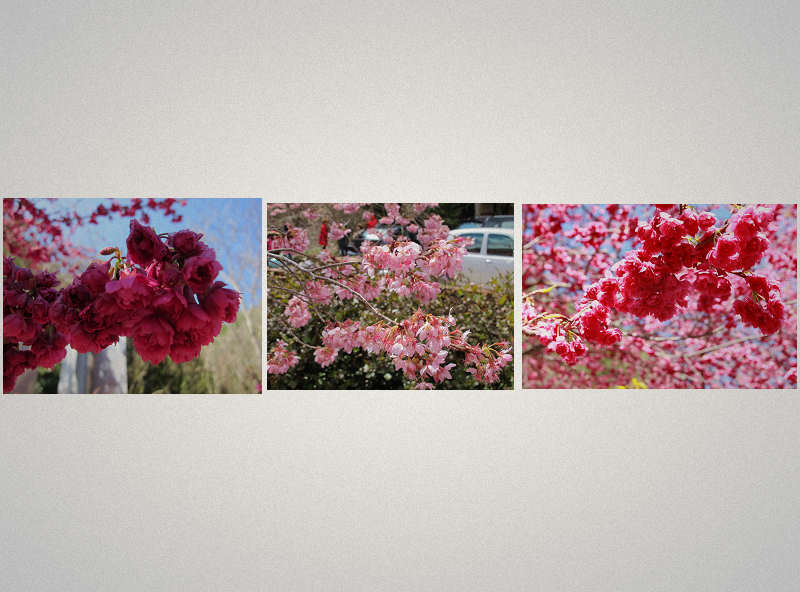 http://i.dcview.tw/gallery/201403/0ee99fd194113ae96554db42b5194693.jpg