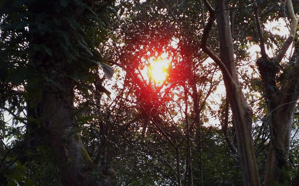 http://i.dcview.tw/gallery/201403/151962fbb1899ec294140744323e1684.jpg